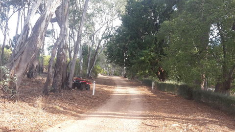 Taralee Orchards - Accommodation Redcliffe 4