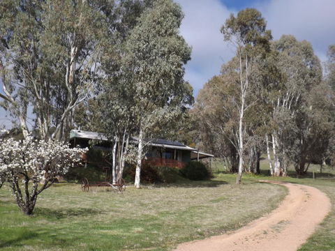 Taralee Orchards - Accommodation Redcliffe 9