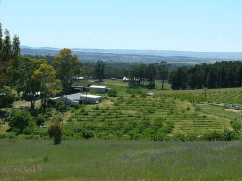 Taralee Orchards - Accommodation Redcliffe 0