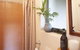 Angaston Saleyards Luxury Accommodation - thumb 10