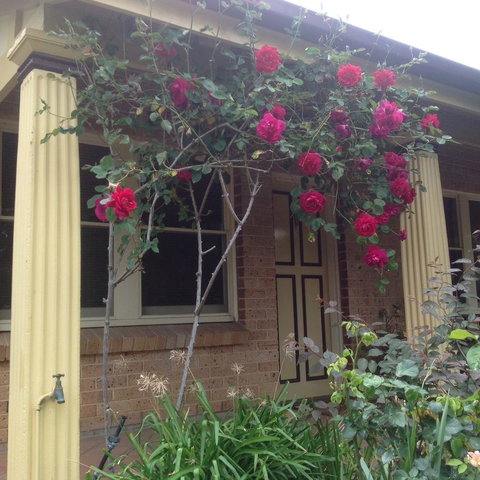 Oats Cottage - Accommodation Redcliffe 3