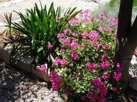 Country Bakehouse Accommodation - Accommodation Redcliffe 18