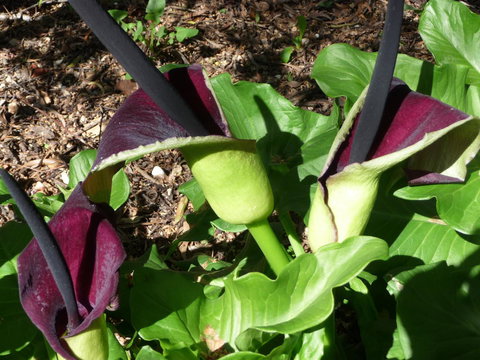 Country Bakehouse Accommodation - Accommodation Redcliffe 19