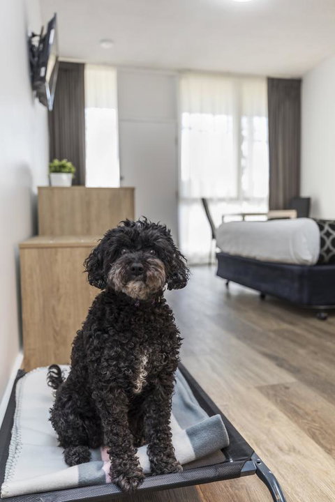 Adelaide Road Motor Lodge - Accommodation Redcliffe 2