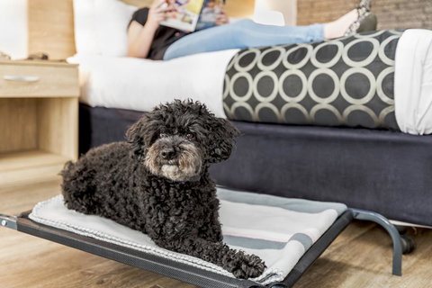 Adelaide Road Motor Lodge - Accommodation Redcliffe 5