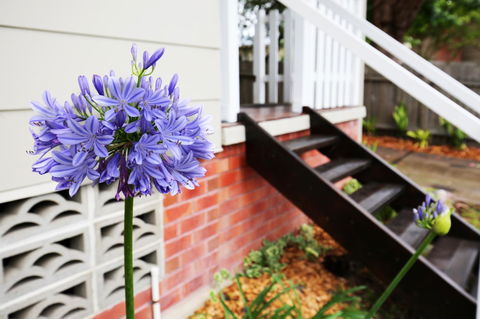 Hudson Bay @ Basin View-Pet Friendly-15 Mins To Hyams Beach - Accommodation Redcliffe 38