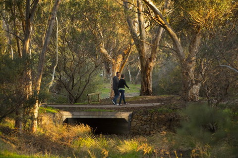 BIG 4 Barossa Tourist Park - Accommodation Redcliffe 26