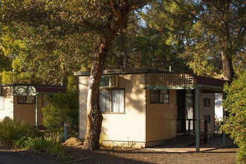 BIG 4 Barossa Tourist Park - Accommodation Redcliffe 33
