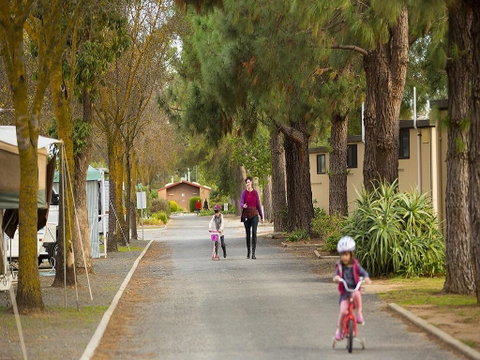 BIG 4 Barossa Tourist Park - Accommodation Redcliffe 36