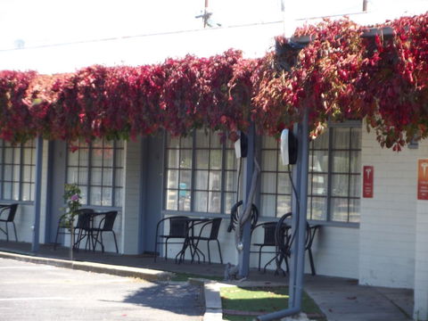 Guichen Bay Motel - Accommodation Redcliffe 23