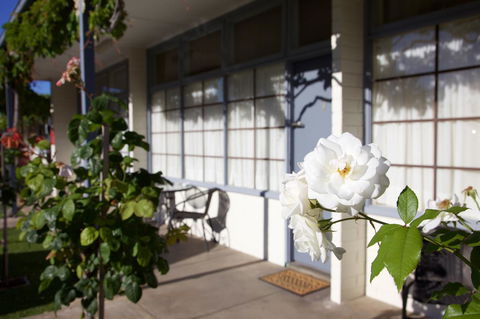 Guichen Bay Motel - Accommodation Redcliffe 33