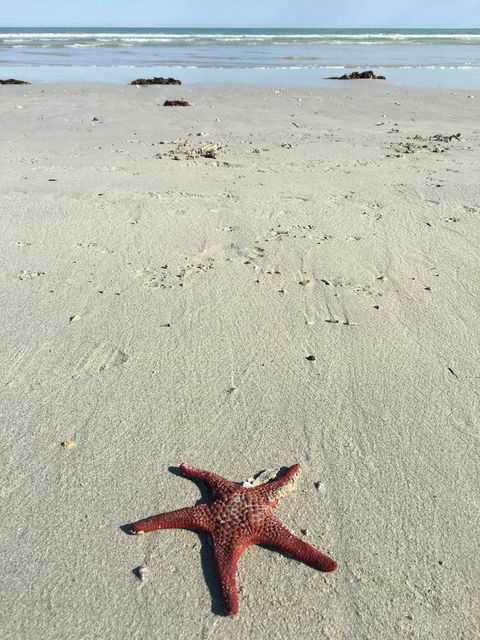 Caledonian Inn - Accommodation Redcliffe 14