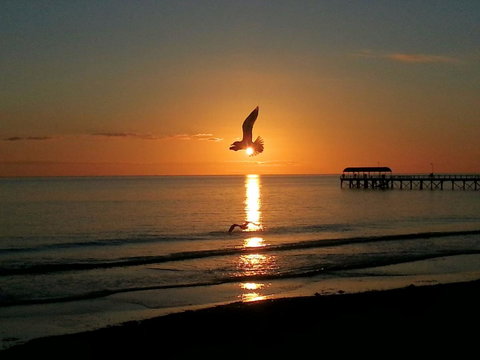 Adelaide Luxury Beach House - Accommodation Redcliffe 37