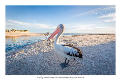 Adelaide Luxury Beach House - Accommodation Redcliffe 25