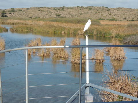 PS Federal Retreat Paddle Steamer Goolwa - Accommodation Redcliffe 11