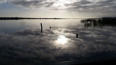 PS Federal Retreat Paddle Steamer Goolwa - Accommodation Redcliffe 16