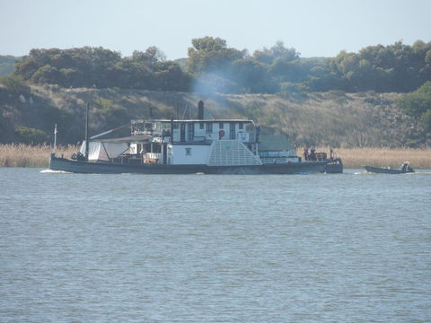 PS Federal Retreat Paddle Steamer Goolwa - Accommodation Redcliffe 10