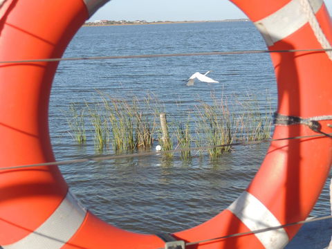 PS Federal Retreat Paddle Steamer Goolwa - Accommodation Redcliffe 18