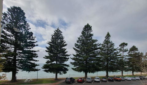 Pier Hotel Port Lincoln - Accommodation Redcliffe 12