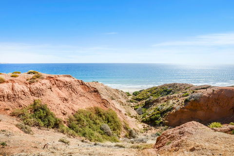 Salomon Sea Haus - Sellicks Beach - C21 SouthCoast Holidays - Accommodation Redcliffe 1
