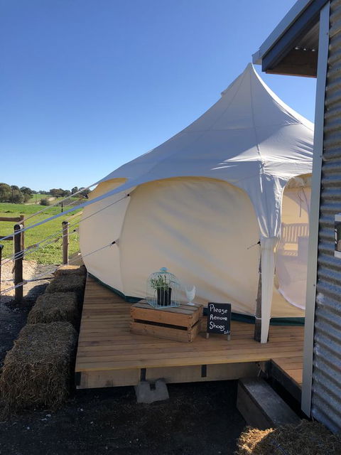 Bukirk Glamping & Fancy Coops - Accommodation Redcliffe 11