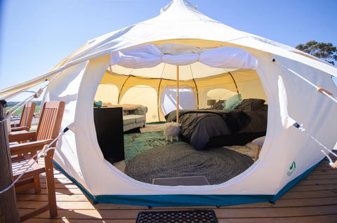 Bukirk Glamping & Fancy Coops - Accommodation Redcliffe 14