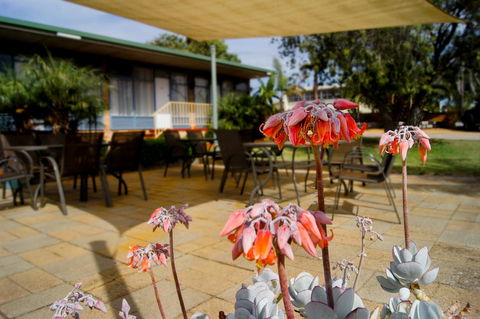 Kangaroo Island Seaview Motel - Accommodation Redcliffe 3