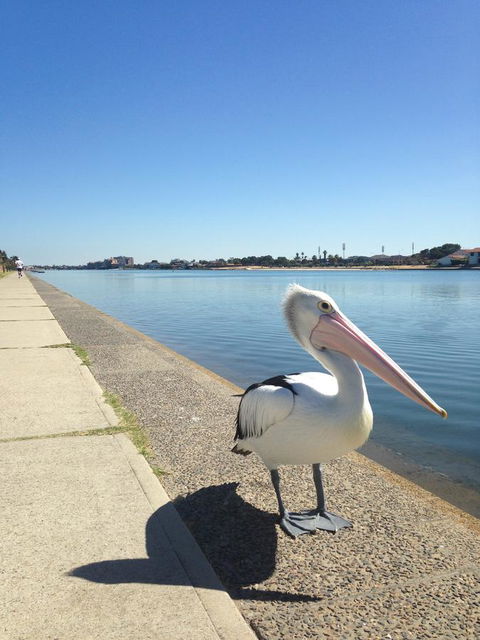 Lakeside - Accommodation Redcliffe 12