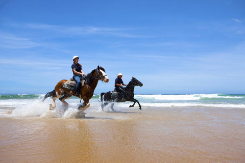 One Mile Retreat - Accommodation Redcliffe 26