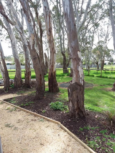 Cloisters Of Kalangadoo - Accommodation Redcliffe 6