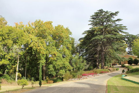 Pirralilla Estate Adelaide Hills - Accommodation Redcliffe 17