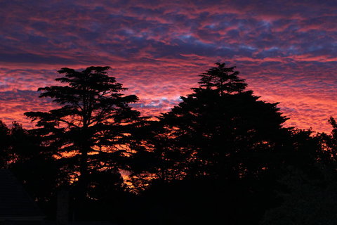 Pirralilla Estate Adelaide Hills - Accommodation Redcliffe 26