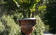 Pirralilla Estate Adelaide Hills - thumb 22