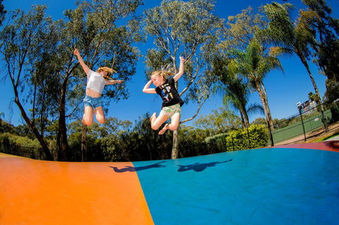 BIG4 Renmark Riverfront Holiday Park - Accommodation Redcliffe 37
