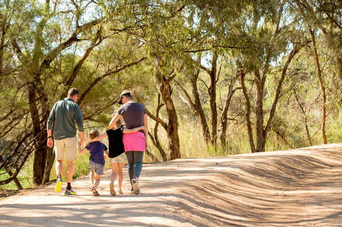 BIG4 Renmark Riverfront Holiday Park - Accommodation Redcliffe 13