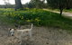 Clare Valley Cabins - thumb 12