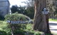 Clare Valley Cabins - thumb 16