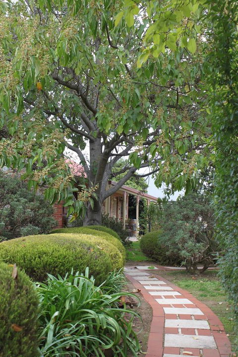 Langmeil Cottages - Accommodation Redcliffe 2
