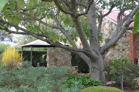 Langmeil Cottages - Accommodation Redcliffe 3