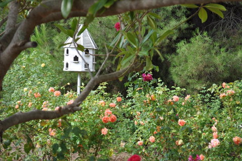 The Lyndoch Motel - Accommodation Redcliffe 2