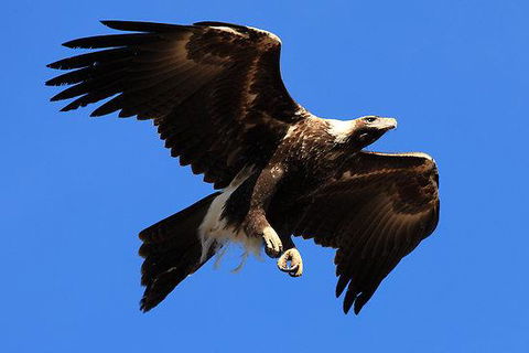 Eagles Range - Accommodation Redcliffe 16