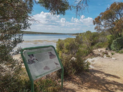 Willygunyah - Accommodation Redcliffe 31