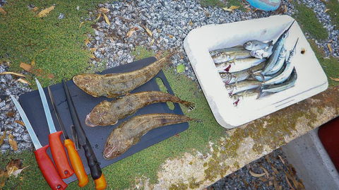 Willygunyah - Accommodation Redcliffe 30