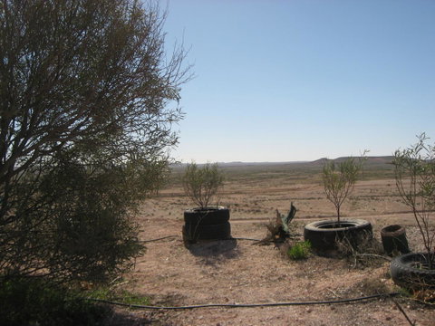 Venushill B+B - Accommodation Redcliffe 32