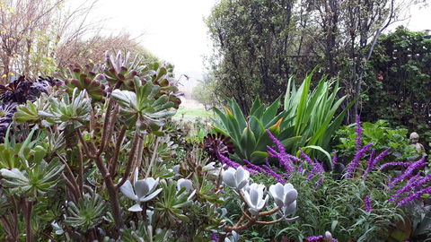 Linger Longer Vineyard - Accommodation Redcliffe 15
