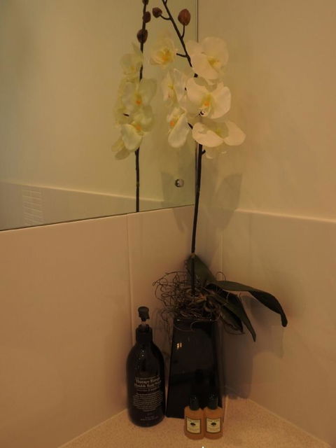 Sanctuary In The Valley - Accommodation Redcliffe 21
