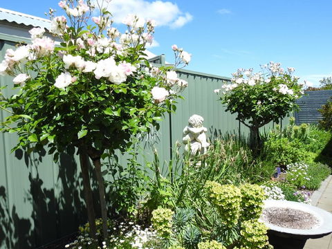 Sanctuary In The Valley - Accommodation Redcliffe 13