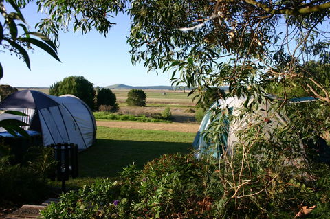Millicent Hillview Caravan Park - Accommodation Redcliffe 43