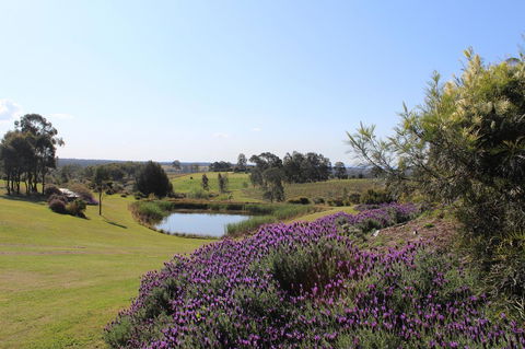 Beltana Villas - Accommodation Redcliffe 7