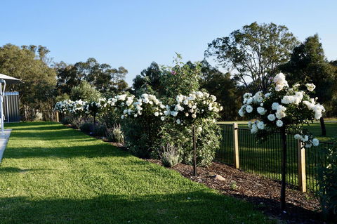 Beltana Villas - Accommodation Redcliffe 2